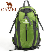 Camel/骆驼 1F01018.