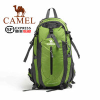 Camel/骆驼 1F01018