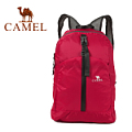 Camel/骆驼 1F01011.