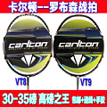 CARLTON VT8/VT9