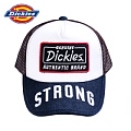 Dickies 141U90EC12