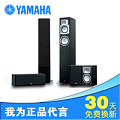 Yamaha/雅马哈 NS-9002(5件套)