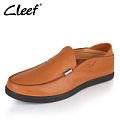 Cleef 308