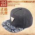 Hater snapback 1002