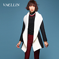 VAELLIN/梵依连 DW9204