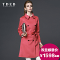 TDEB T18C013