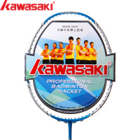kawasaki/川崎 3100I
