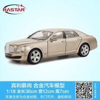 rastar 43800