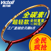 Vicball/维克波 追风系列