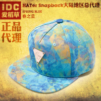 Hater snapback 1010