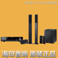 Yamaha/雅马哈 TSS-PA120CN