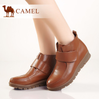 Camel/骆驼 A94153630