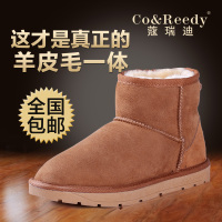 Co&Reedy/蔻瑞迪 Co-5854-Y