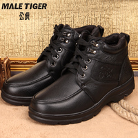 MALE TIGER/公虎 316