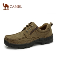 Camel/骆驼 82308601