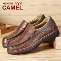 HIMALAYA CAMEL/喜马拉雅骆驼 A432099030