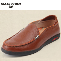 MALE TIGER/公虎 109