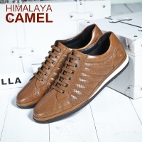 HIMALAYA CAMEL/喜马拉雅骆驼 A432020030