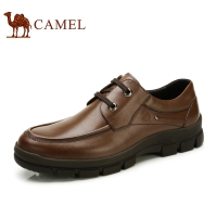 Camel/骆驼 82155608