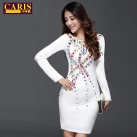 caris cc1377