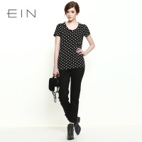 EIN/言 EP2703431