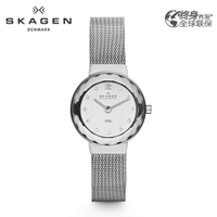 SKAGEN 456SSS