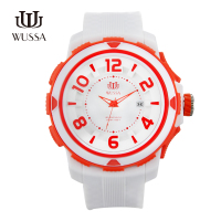 WUSSA Q1-SSI-19WO