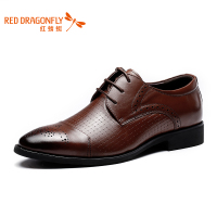 REDDRAGONFLY/红蜻蜓 WTA4111