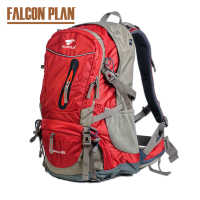 FALCON PLAN/猎鹰计划 345918