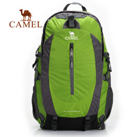 Camel/骆驼 2S04001