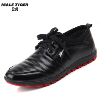 MALE TIGER/公虎 152806