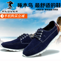 Plover FSa00002