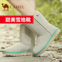 Camel/骆驼 A81502612