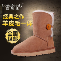 Co&Reedy/蔻瑞迪 Co-5803