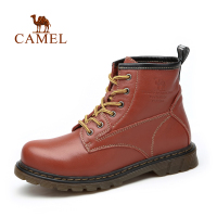 Camel/骆驼 A94329604