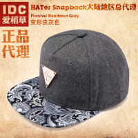 Hater snapback 1002