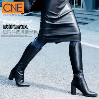 CnE CF5T83801