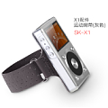 FiiO/飞傲 SK-X1