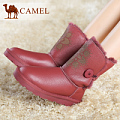 Camel/骆驼 A81502603