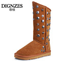 Dignzes/尊积 D12QXX001