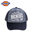 Dickies 141U90EC11