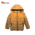 Neeza BJ13D01715