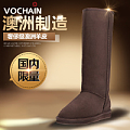 Vochain/梵纪 A910