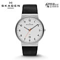 SKAGEN SKW6082