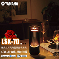 Yamaha/雅马哈 LSX-70