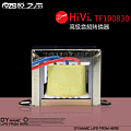 Hivi/惠威 TF100830