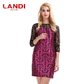 LANDI LNC-L088