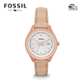 Fossil/化石 AM4501