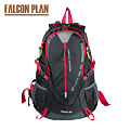 FALCON PLAN/猎鹰计划 345917