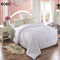 eoeo BZ800006